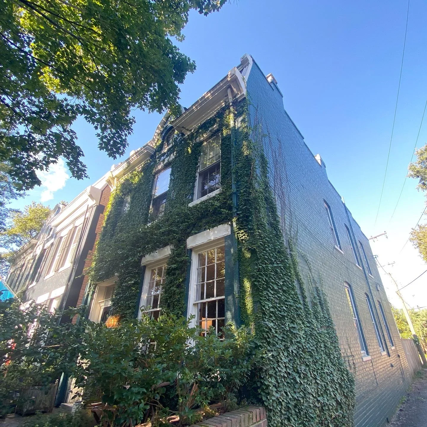 Brick building with ivy-covered walls and white-painted window frames and trim